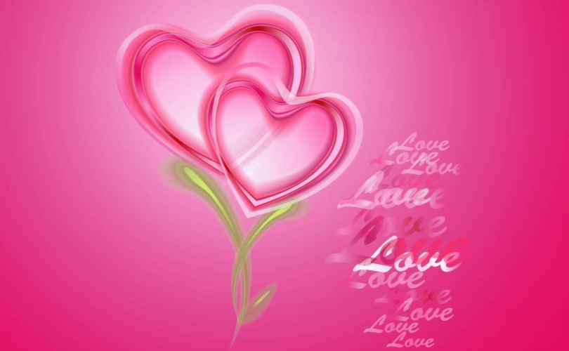 The Heart's Nourishment The Importance of Love in Human Lives